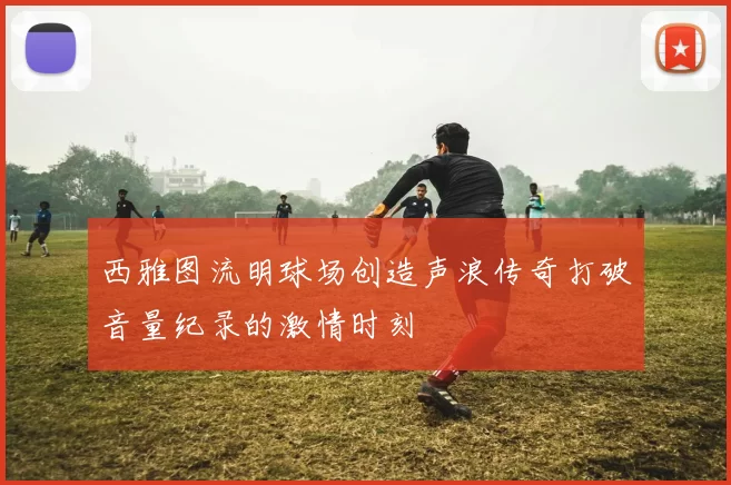 西雅图流明球场创造声浪传奇打破音量纪录的激情时刻