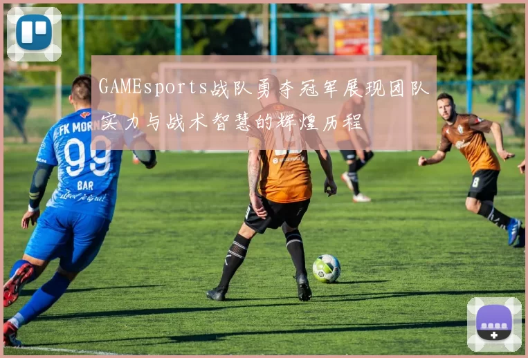 GAMEsports战队勇夺冠军展现团队实力与战术智慧的辉煌历程