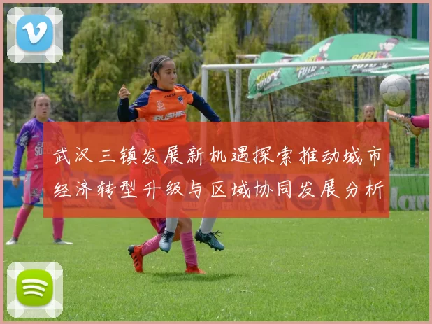 武汉三镇发展新机遇探索推动城市经济转型升级与区域协同发展分析