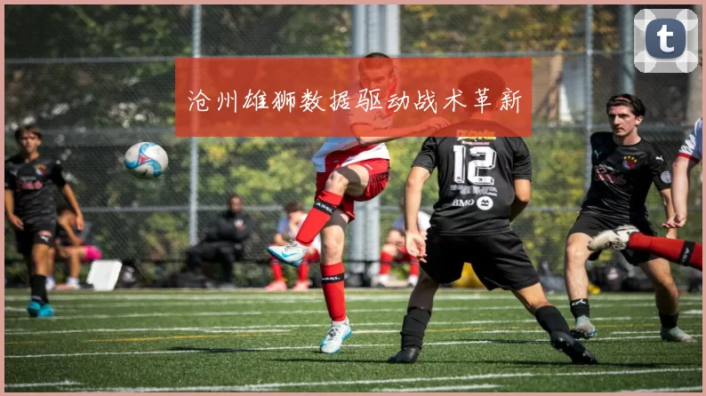 沧州雄狮数据驱动战术革新