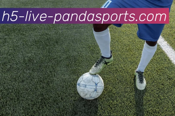 熊猫体育APP 高清赛事图